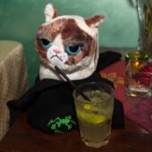  Sproing Pics (106/145)